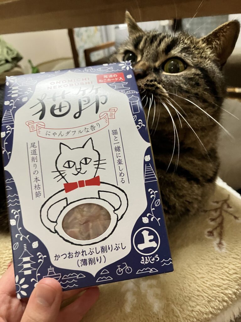 ハルねこぶし