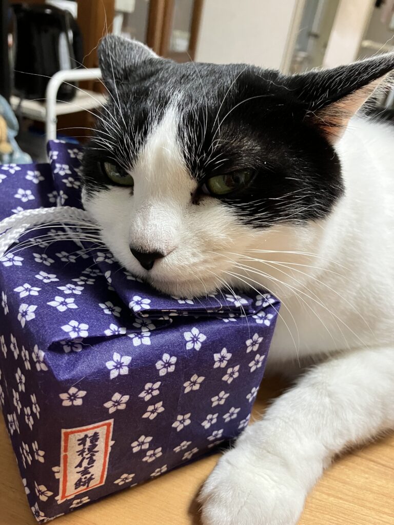 ミロ 信玄餅