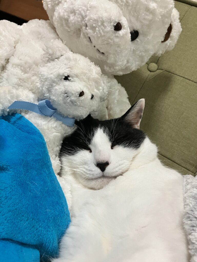 ミロ