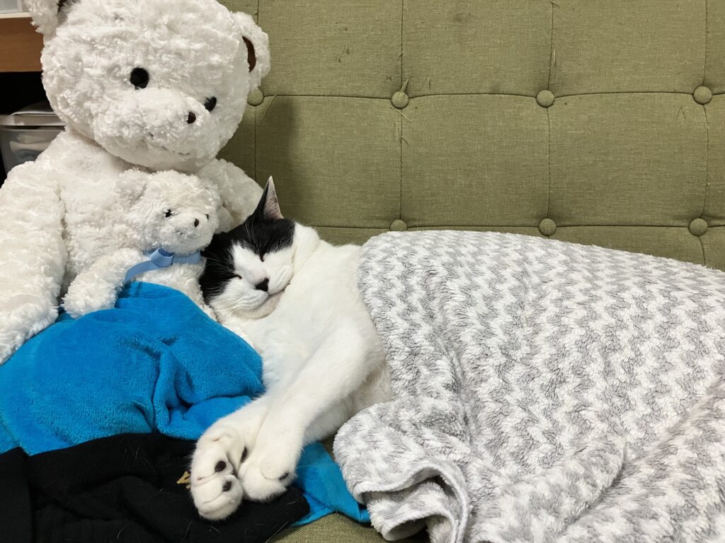 ミロ②