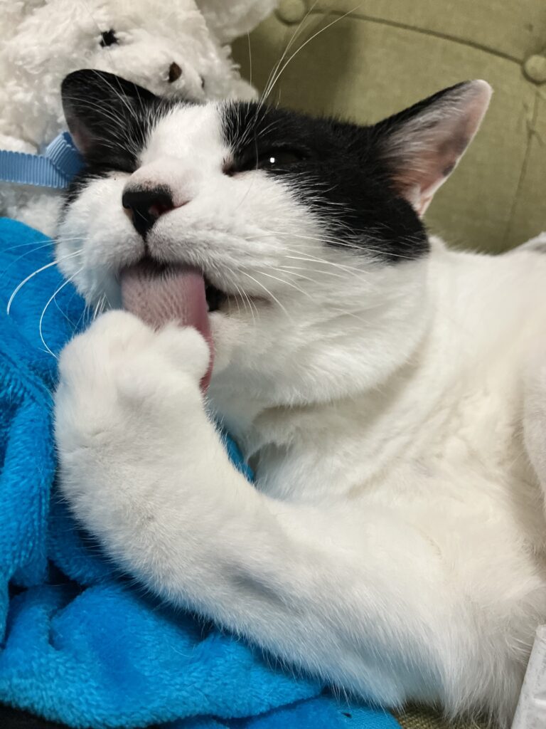ミロ③