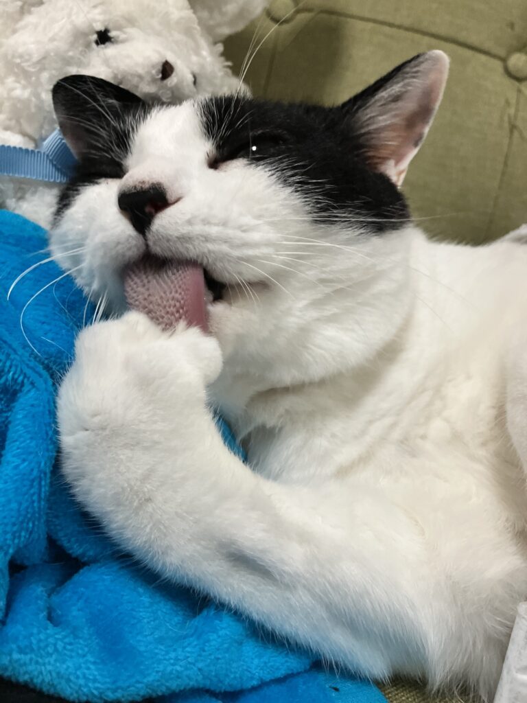 ミロ